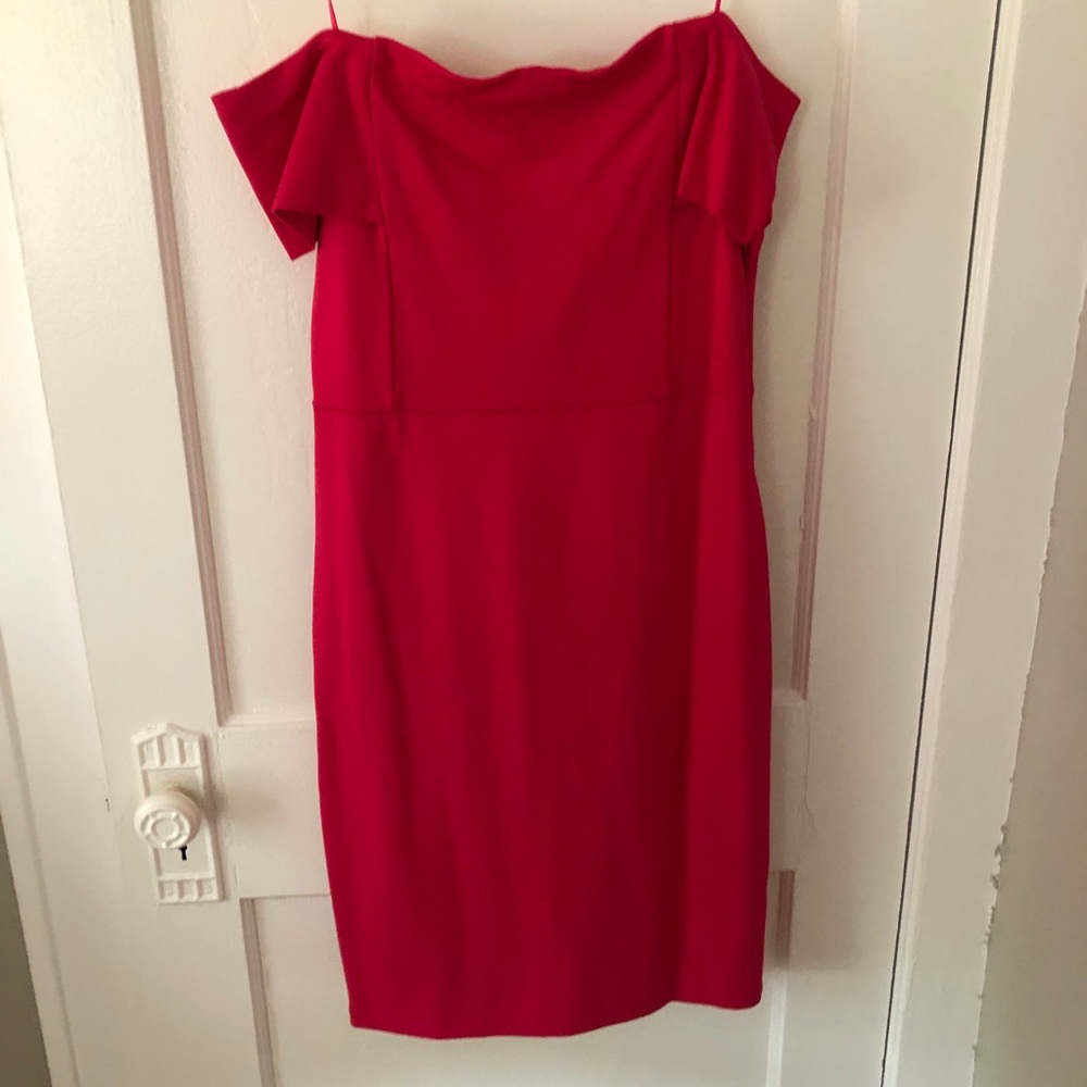 Pink Off the Shoulder Zara Dress Sz. L